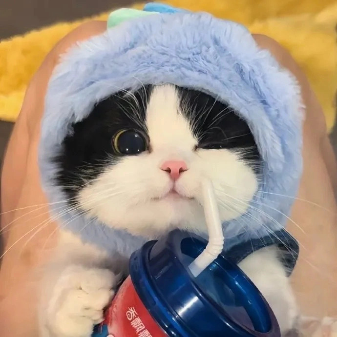 阿盛的头像-百盟网