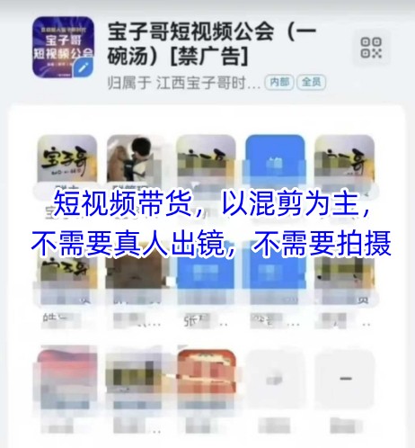 宝子哥头部团队短视频带货，以混剪为主，不需要真人出镜，不需要拍摄【更新26年1月】-百盟网