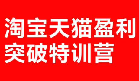 玺承·淘宝天猫盈利突破特训营(25年12月线下课)【音频+字幕】-百盟网