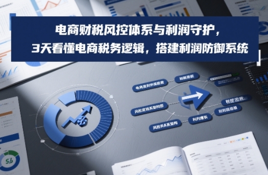 电商财税风控体系与利润守护，3天看懂电商税务逻辑，搭建利润防御系统-百盟网